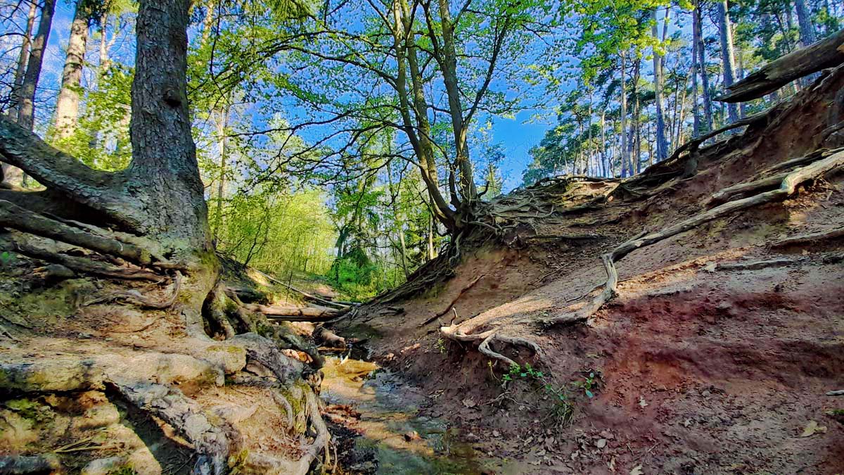 Indianerschlucht Erlangen 12 indianerschlucht erlangen buckenhof uttenreuth wandern