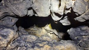 plech höhlenweg geissloch geißloch höhle besichtigung küche