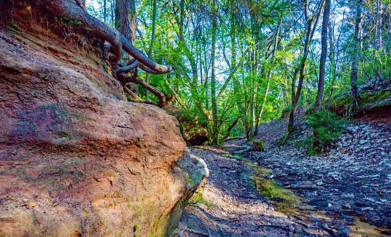 Indianerschlucht Erlangen 2 wandern schlucht klamm erlangen indianerschlucht erlangen franken