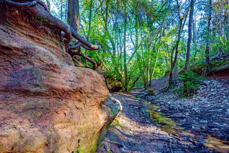 Geheimnisvolle Gräben, Schluchten und Klammen in Franken 25 wandern schlucht klamm erlangen indianerschlucht erlangen franken