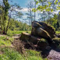 runde rundweg wandern waldnaab falkenberg hammermühle wanderung oberpfalz