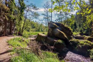 runde rundweg wandern waldnaab falkenberg hammermühle wanderung oberpfalz