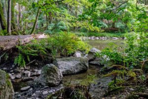 röslau schlucht gsteinigt arzberg oberfranken fichtelgebirge