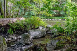 FICHTELGEBIRGE 35 röslauschlucht schlucht klamm fichtelgebirge gesteinigt gsteinigt arzberg wandern