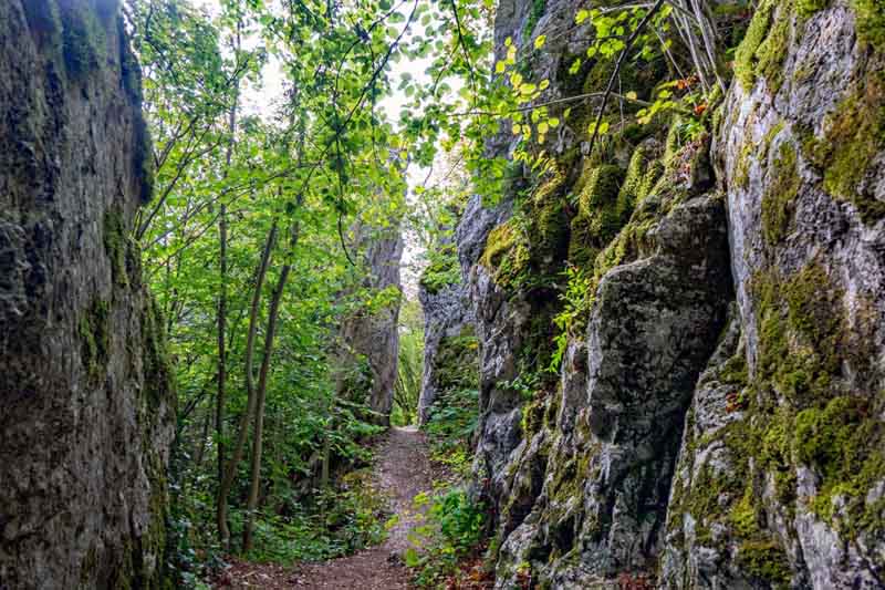 geotop hummerberg streitberg landkreis forchheim