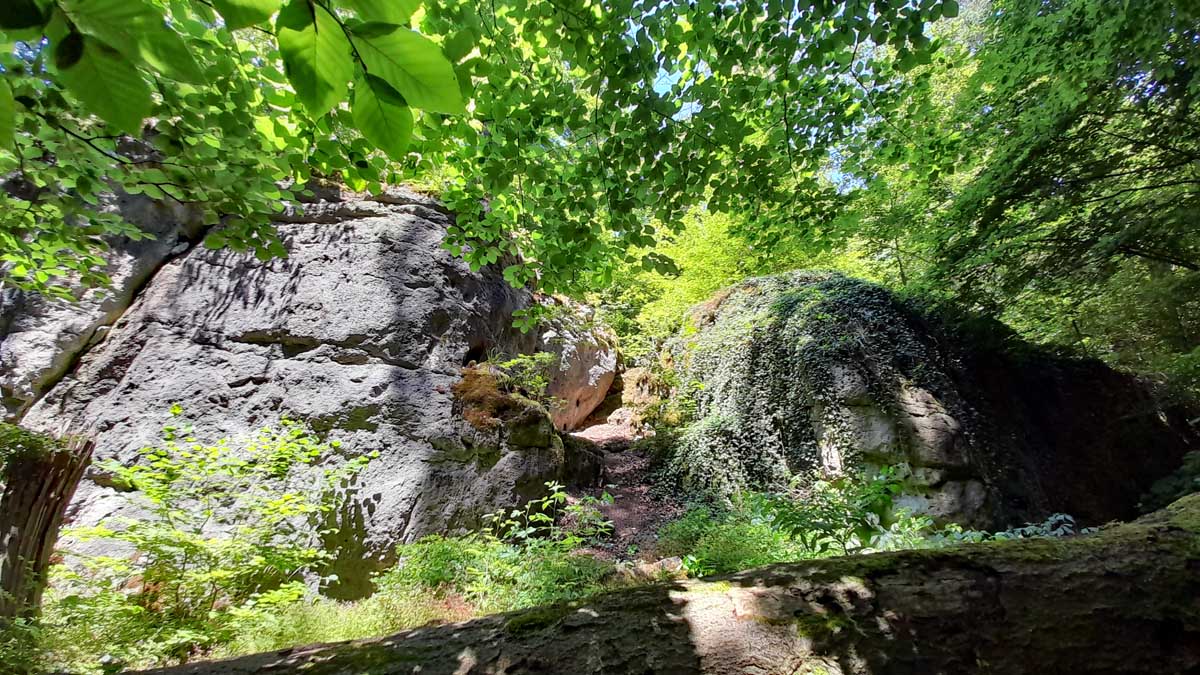 Geotop-Wanderungen im Landkreis Bayreuth 8 geotope landkreis bayreuth oberfranken felsengruppe liegersberg plech