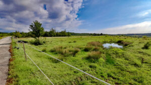 naturschutzgebiet brönnhof schweinfurt bayern franken wandern