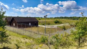 ehemaliger truppenübungsplatz brönnhof schweinfurt konik angus