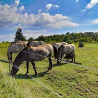 wandern bayern unterfranken schweinfurt nsg brönnhof
