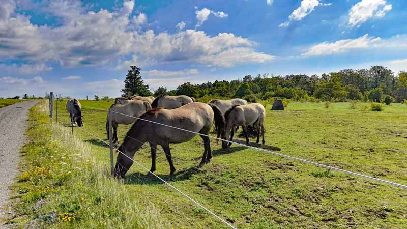 wandern bayern unterfranken schweinfurt nsg brönnhof