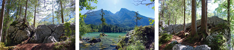 Die schönsten Geotope in Oberbayern 4 geotop zauberwald ramsau oberbayern