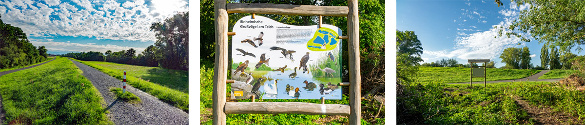 Grafenrheinfeld: Seenlandschaft Altmainarm Nord 3 altmainschleife grafenrheinfeld wandern infotafel
