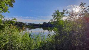 Grafenrheinfeld: Seenlandschaft Altmainarm Nord 4 altmainschleife grafenrheinfeld wandern unterfranken schweinfurt
