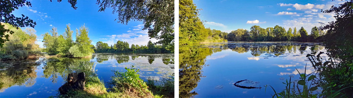 Grafenrheinfeld: Seenlandschaft Altmainarm Nord 21 altmainschleife nord grafenrheinfeld wanderung leonhardsee
