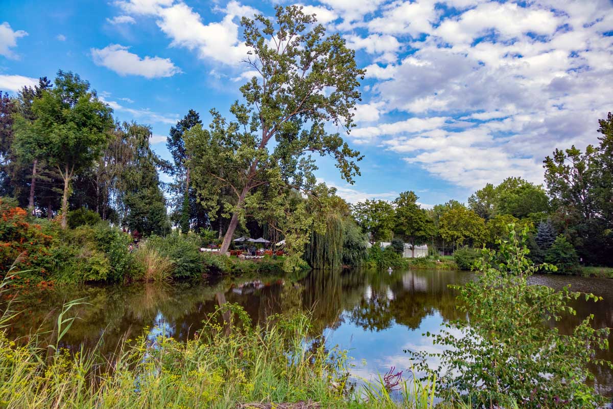 Grafenrheinfeld: Seenlandschaft Altmainarm Nord 7 naherholungsgebiet altmain schleife nord grafenrheinfeld wandern