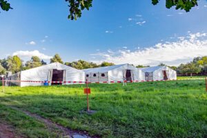 pferde hof grafenrheinfeld wandern main