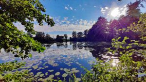 Grafenrheinfeld: Seenlandschaft Altmainarm Nord 11 schonsee grafenrheinfeld wandern main altarm