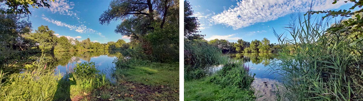 Grafenrheinfeld: Seenlandschaft Altmainarm Nord 17 schonsee grafenrheinfeld main altarm wandern