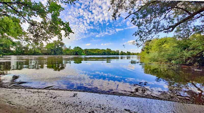 wanderung schweinfurt grafenrheinfeld main altarm seen