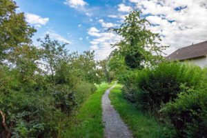 Grafenrheinfeld: Seenlandschaft Altmainarm Nord 9 rundweg main grafenrheinfeld wandern