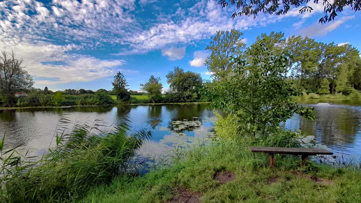 Grafenrheinfeld: Seenlandschaft Altmainarm Nord 10 wandern schweinfurt unterfranken bayern grafenrheinfeld main