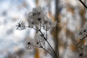 Festung Rothenberg 5 festung rothenberg bayern nürnberg schnaittach ausflug familie