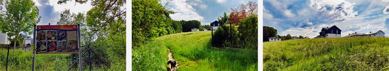 Naturlehrpfad N4 - Multernschlucht Neustadt/Aisch 3 wandern neustadt aisch multernschlucht n4