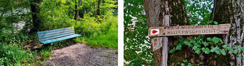 Naturlehrpfad N4 - Multernschlucht Neustadt/Aisch 6 multernschlucht neustadt aisch wandern n4