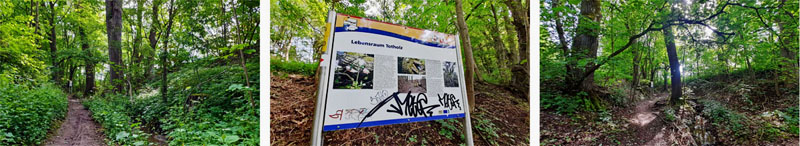 Naturlehrpfad N4 - Multernschlucht Neustadt/Aisch 9 wandern n4 neustadt aisch stadtpark