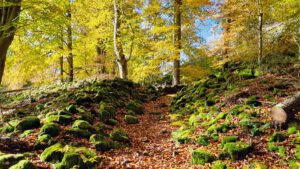 Weg des Granits in Flossenbürg 39 wandern vulkan rauher kulm bayern geotop