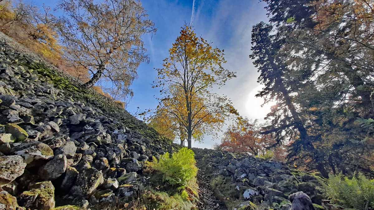 Rauher Kulm: Naturwunder Vulkan 11 basalt blockhalde geotop oberpfalz rauher kulm