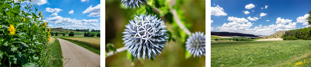 Vom Erlebnis-Geotop Lindle zu den Ofnethöhlen 20 wanderung lindle alte bürg ofnethöhlen ries bayern krater
