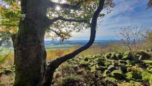 Rauher Kulm: Naturwunder Vulkan 4 wandern rauher kulm oberpfalz halde naturwunder