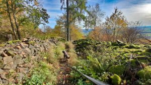 Rauher Kulm: Naturwunder Vulkan 3 wanderung hund kinder familie oberpfalz rauher kulm