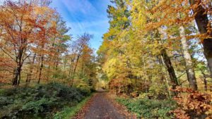 Rauher Kulm: Naturwunder Vulkan 21 geotop vulkan basalt bayern rauher kulm