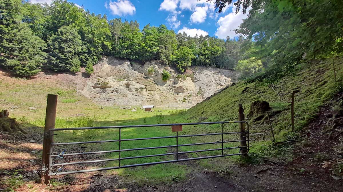 Vom Erlebnis-Geotop Lindle zu den Ofnethöhlen 10 suevit steinbruch altenberg alte bürg nördlinger ries