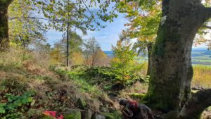 Rauher Kulm: Naturwunder Vulkan 13 oberpfalz rauher kulm