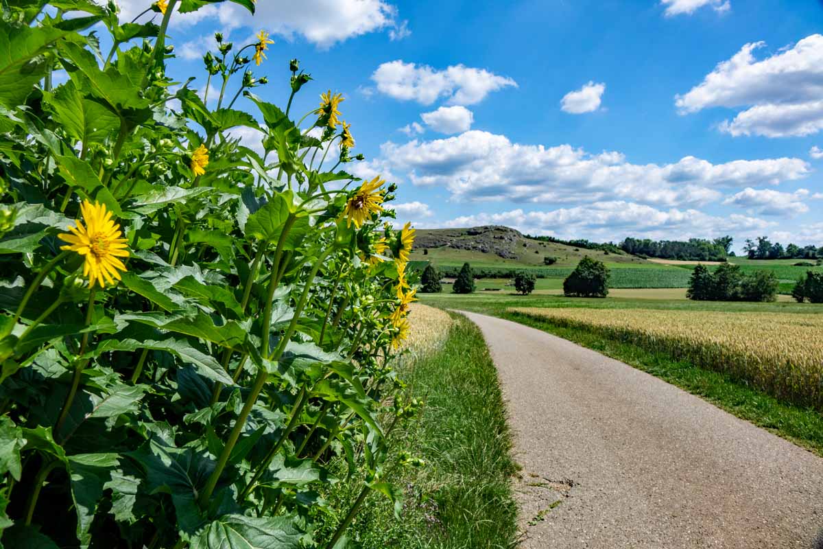 Vom Erlebnis-Geotop Lindle zu den Ofnethöhlen 11 riegelberg geopar ries nördlingen wandern riegelberg ofnethöhle