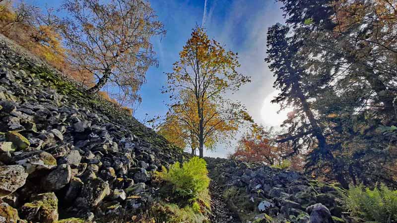 Rauher Kulm: Naturwunder Vulkan 7 basalt blockhalde geotop oberpfalz rauher kulm