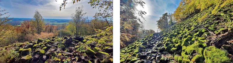 Rauher Kulm: Naturwunder Vulkan 5 geotop rauher kulm basalt vulkan oberpfalz wandern