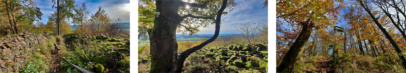 Rauher Kulm: Naturwunder Vulkan 3 wandern kinder hund rauher kulm vulkan
