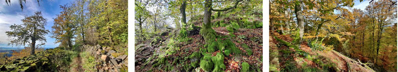 Rauher Kulm: Naturwunder Vulkan 8 rauher kulm oberpfalz bayern wanderung wanderberge oberpfalz