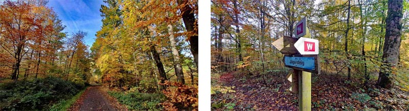 Rauher Kulm: Naturwunder Vulkan 15 geotop vulkan basalt bayern rauher kulm