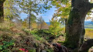 Rauher Kulm: Naturwunder Vulkan 9 rauher kulm oberpfalz rundweg wandern