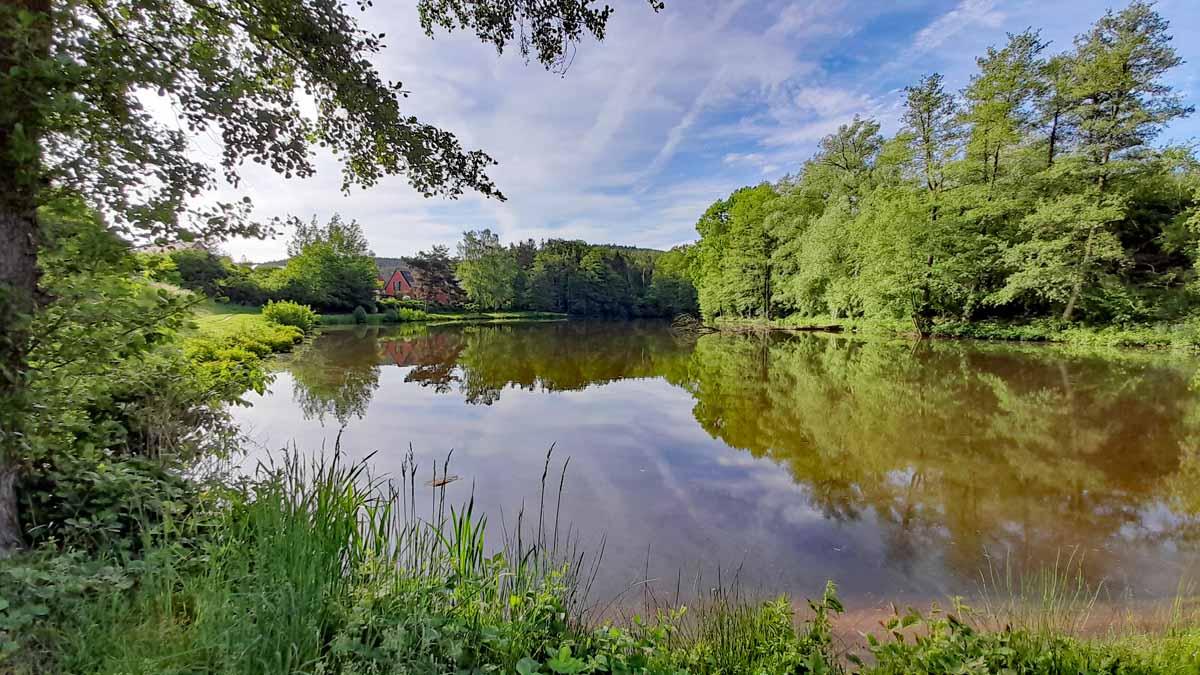 Abenberg - Wasser erleben Rundwanderweg 10 klosterteich abenberg wasser erleben wanderung