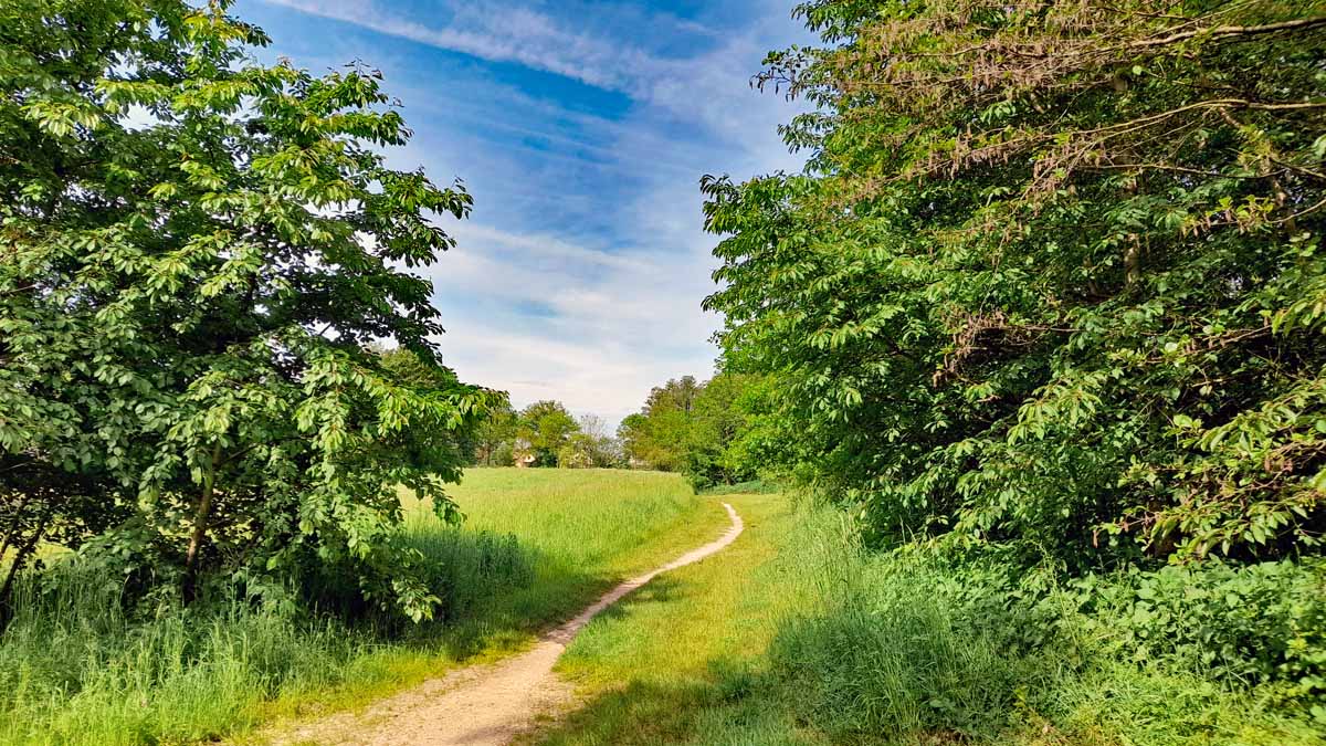 Abenberg - Wasser erleben Rundwanderweg 21 wandern fränkisches seenland abenberg
