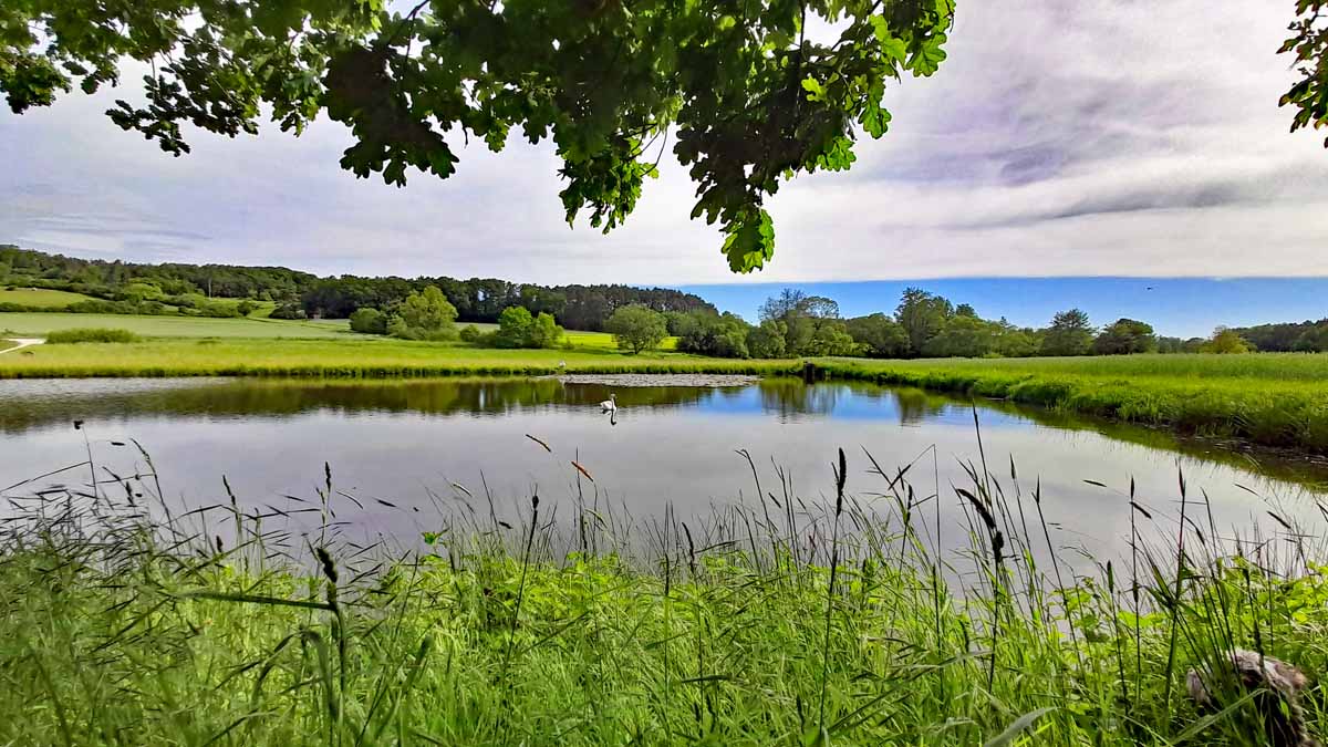 Abenberg - Wasser erleben Rundwanderweg 9 abenberg wasser (er)leben wandern landkreis roth