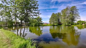 Abenberg - Wasser erleben Rundwanderweg 17 fischteich karpfen teich abenberg wanderung wasser erleben