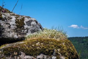 Weg des Granits in Flossenbürg 10 weg des granits wandern flossenbürg