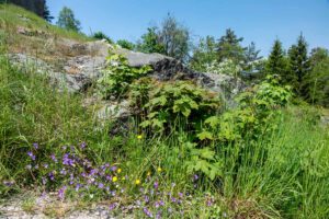 Weg des Granits in Flossenbürg 14 nsg schlossberg ruine flossenbürg